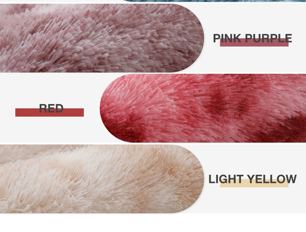 Plush Carpet for Living Room Fluffy Rug Thick Bed Room Carpets Anti-slip Floor Plush Carpet for Living Room Fluffy Rug Thick Bed Room Carpets Anti-slip Floor